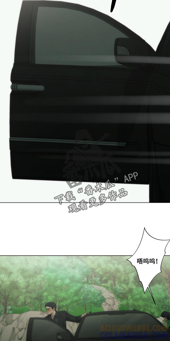 《致命诱饵》第64章：你做选择吧 第15页