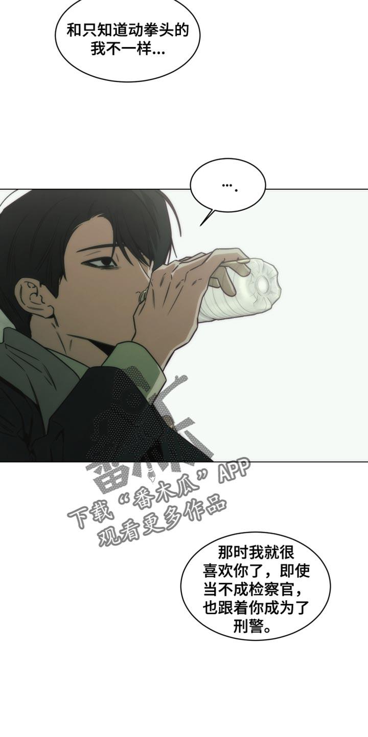 《致命诱饵》第65章：正确的选择【完结】 第14页