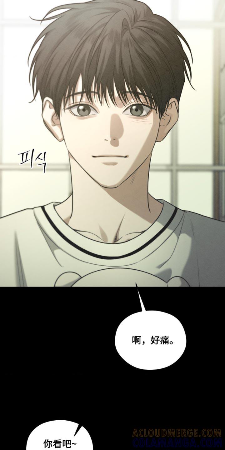 《纯白的假象》第72章：【第二季】别的礼物 第15页