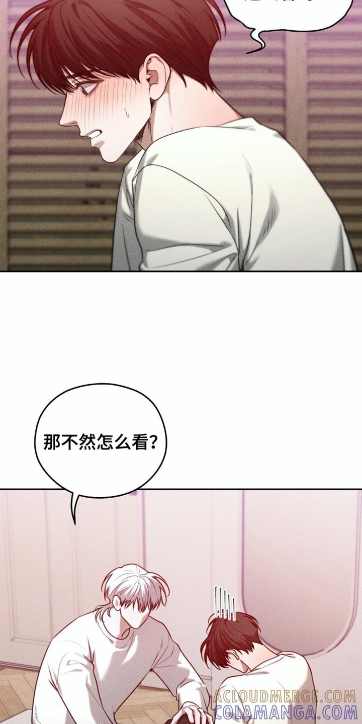 《纯白的假象》第76章：【第二季】真的想要的东西 第11页
