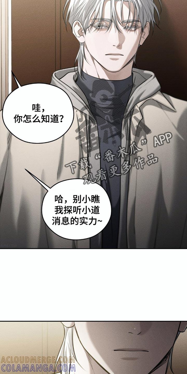 《纯白的假象》第83章：【第二季】休假 第12页