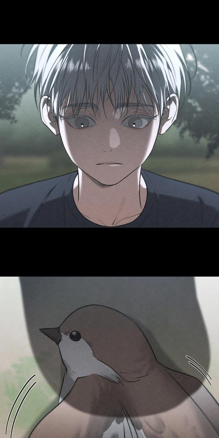 《纯白的假象》第88章：【第二季】让人难以理解的事 第12页
