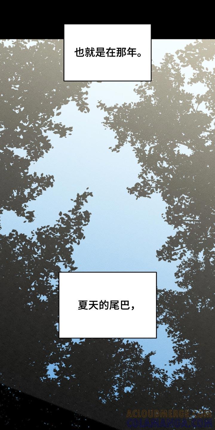 《纯白的假象》第88章：【第二季】让人难以理解的事 第3页