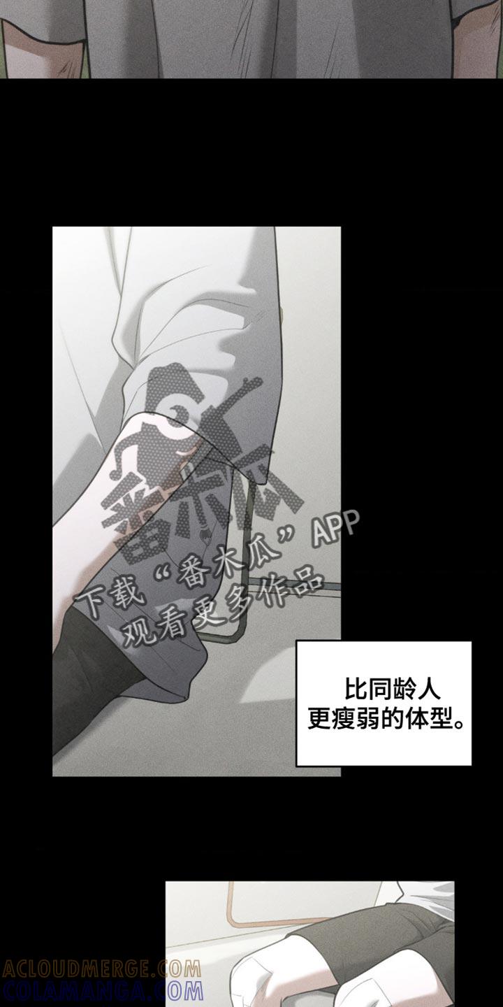 《纯白的假象》第88章：【第二季】让人难以理解的事 第5页