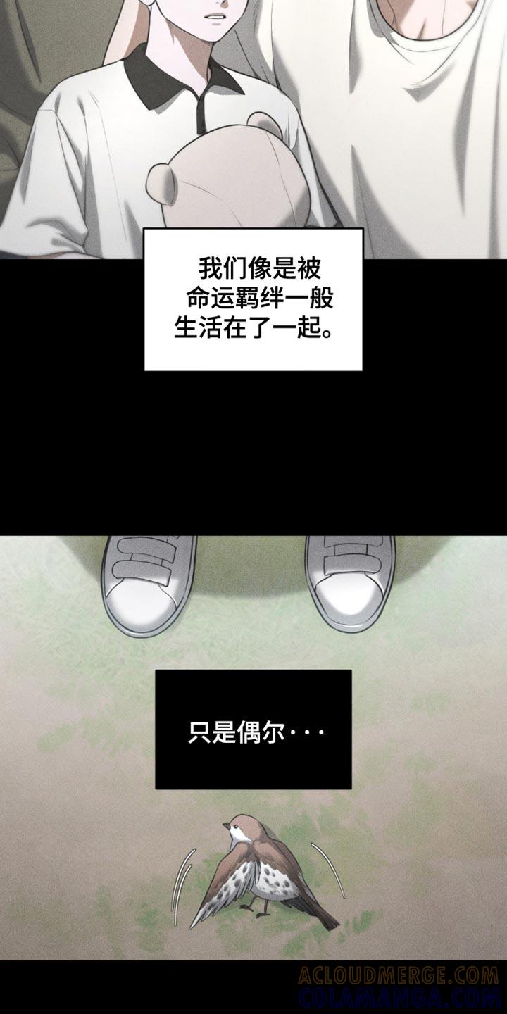 《纯白的假象》第88章：【第二季】让人难以理解的事 第11页