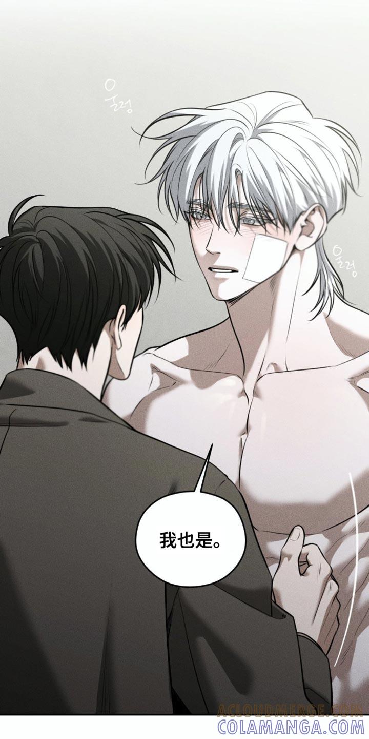 《纯白的假象》第94章：【第二季】希望不会后悔 第19页