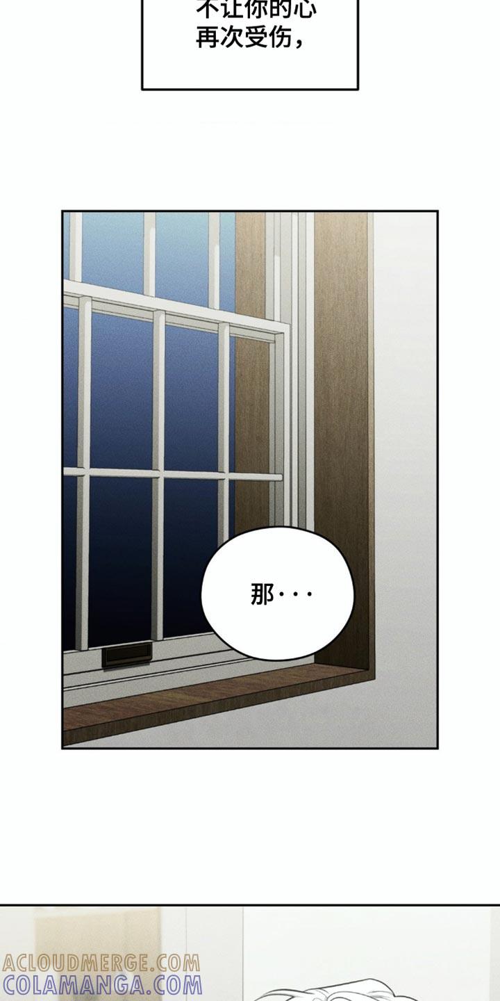 《纯白的假象》第94章：【第二季】希望不会后悔 第13页