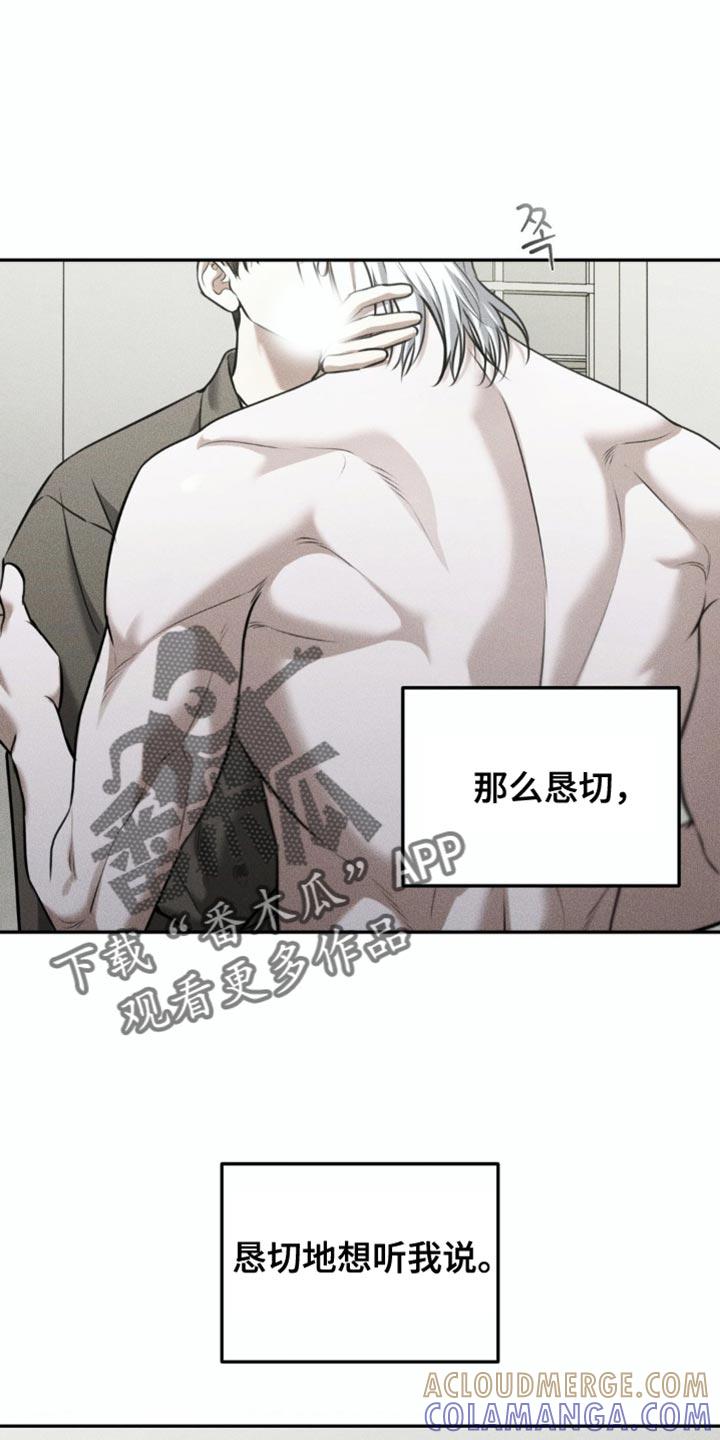 《纯白的假象》第94章：【第二季】希望不会后悔 第17页