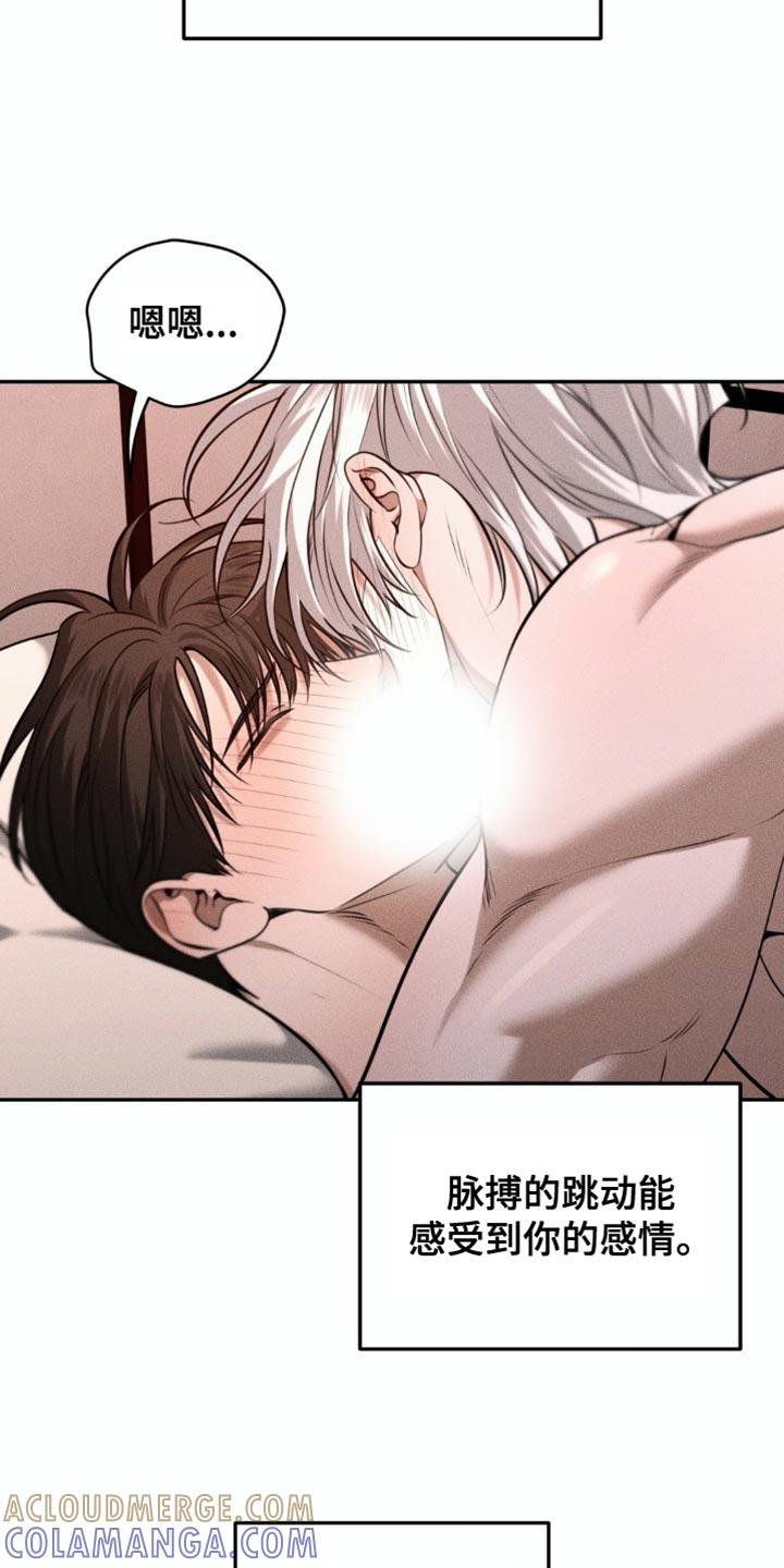 《纯白的假象》第94章：【第二季】希望不会后悔 第21页