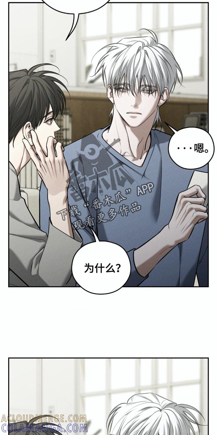 《纯白的假象》第95章：【第二季】你愿意和我一起吗？ 第13页