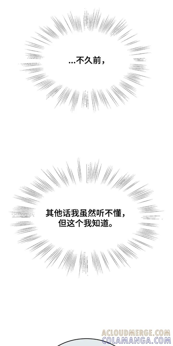 魔咒 第127章：发光的男人 第15页