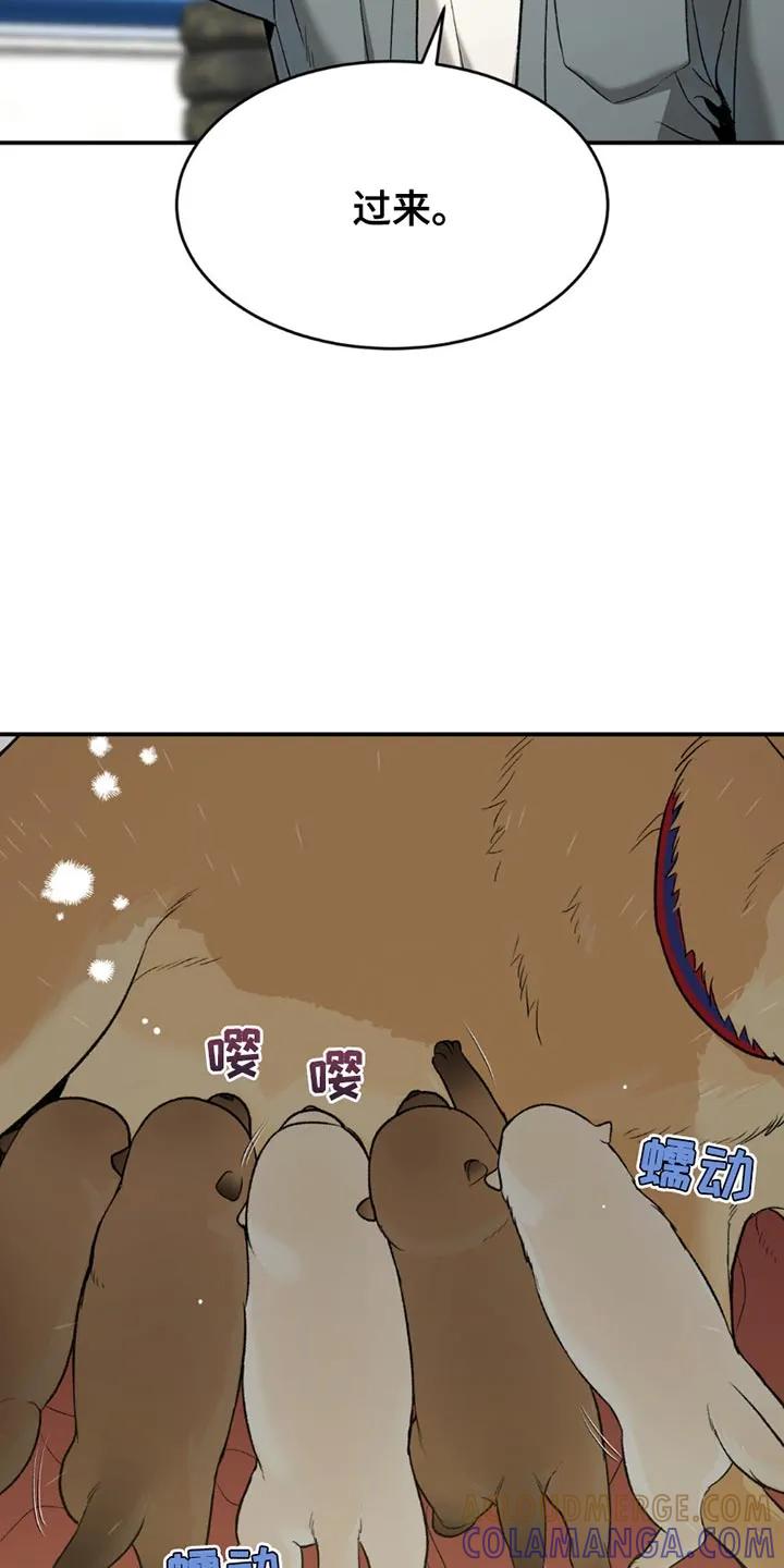 魔咒 第199章：【第二季】漂亮的小狗 第13页