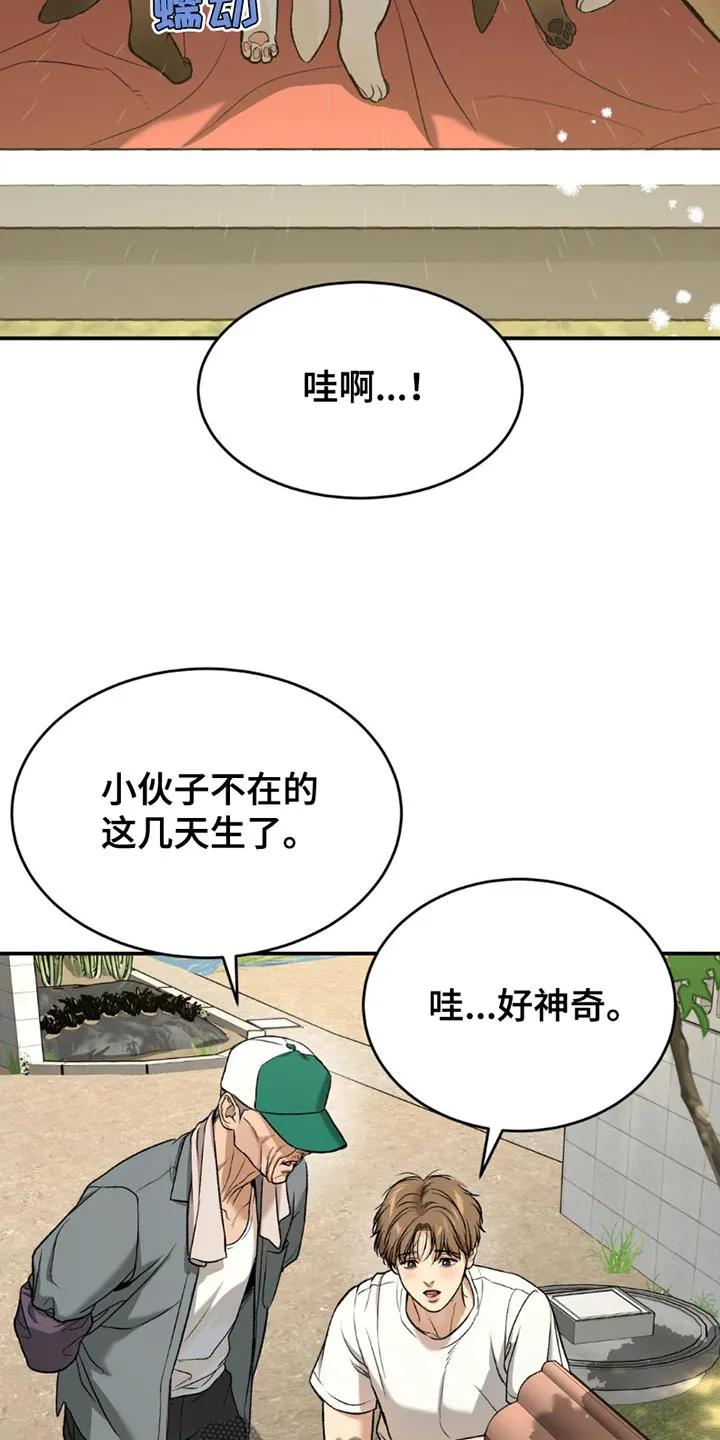 魔咒 第199章：【第二季】漂亮的小狗 第14页