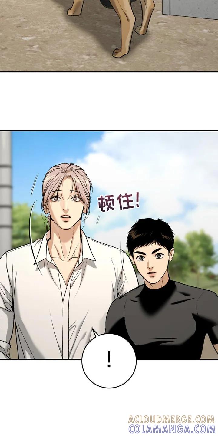 魔咒 第199章：【第二季】漂亮的小狗 第25页