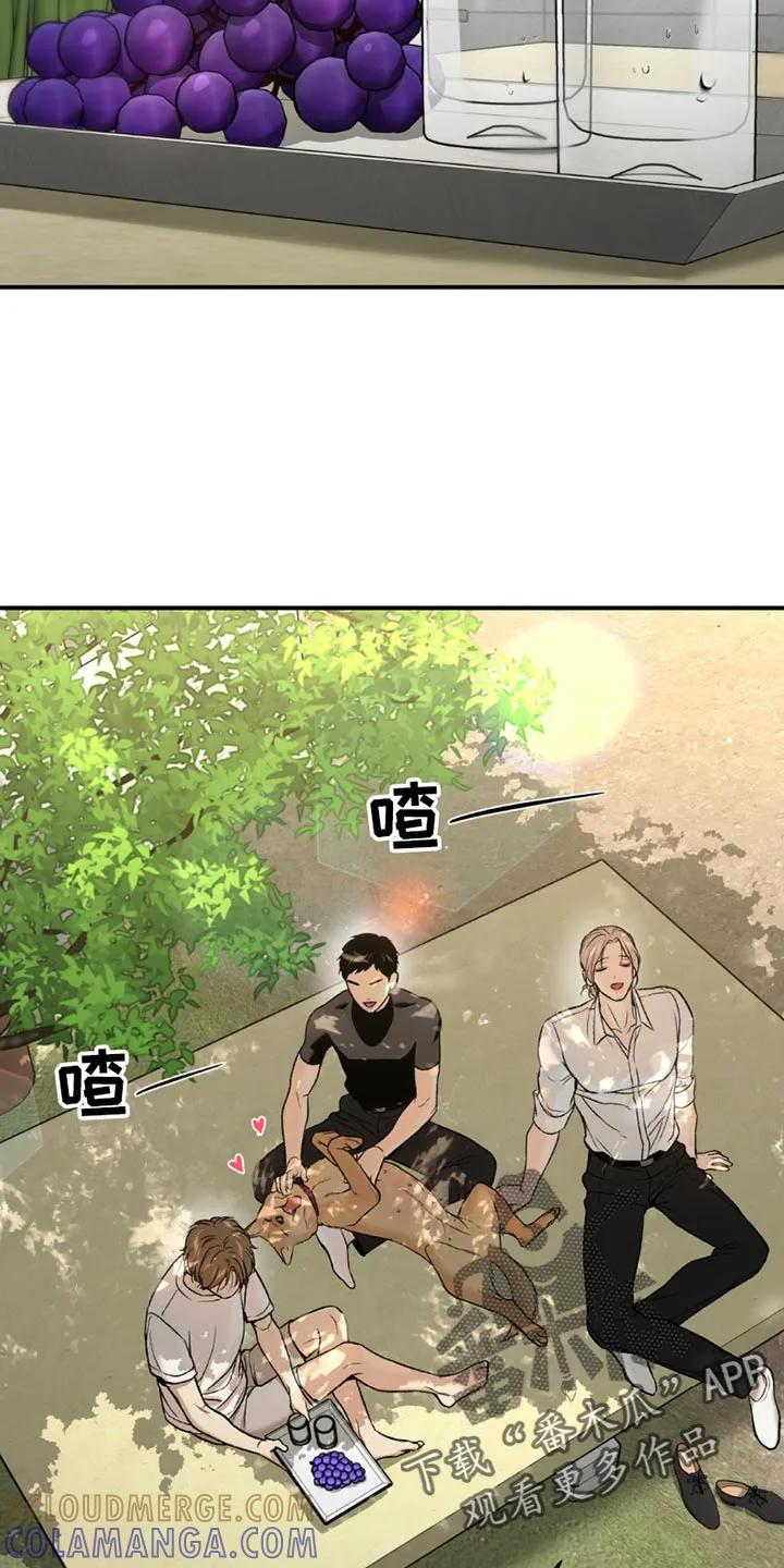 魔咒 第200章：【第二季】我们很合拍 第15页