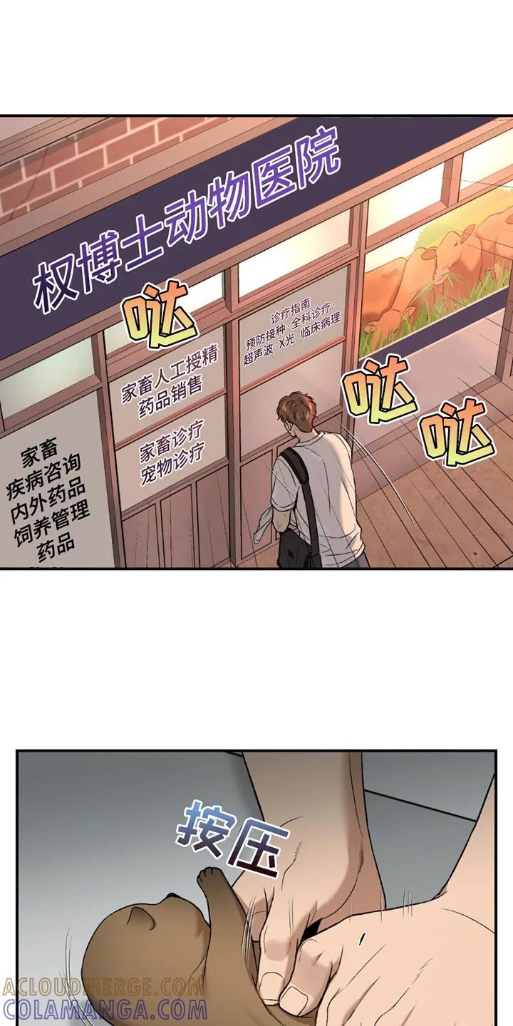 魔咒 第205章：【第二季】想用尽办法留住 第9页
