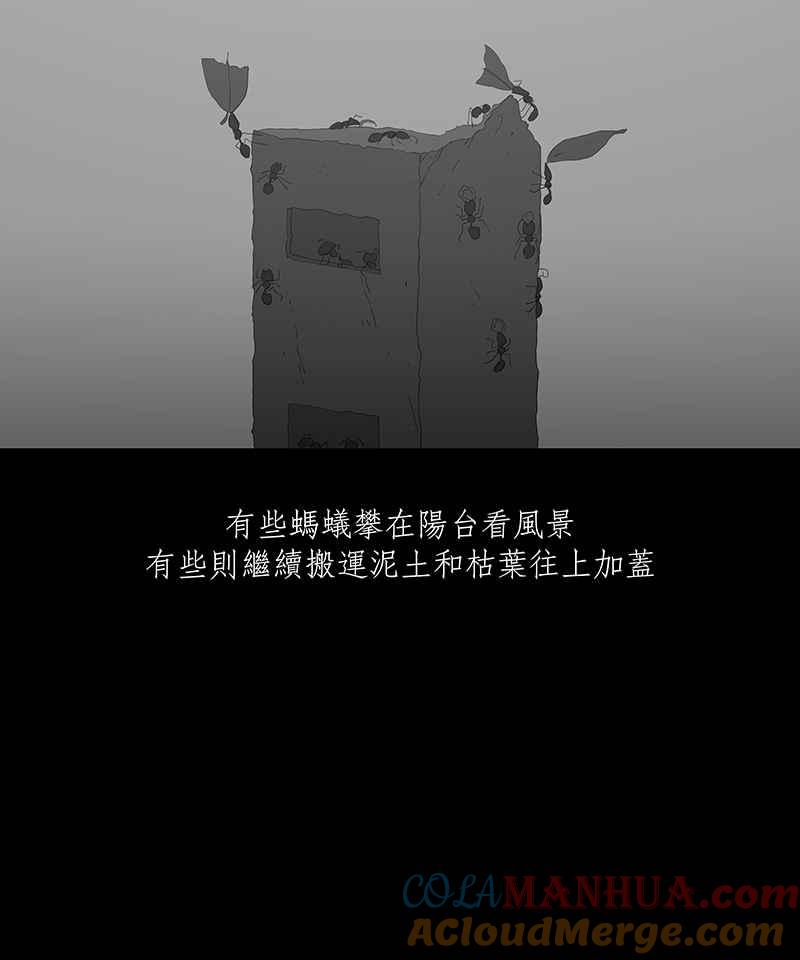 黑盒子 [第63话] 蚂蚁教(1) 第19页