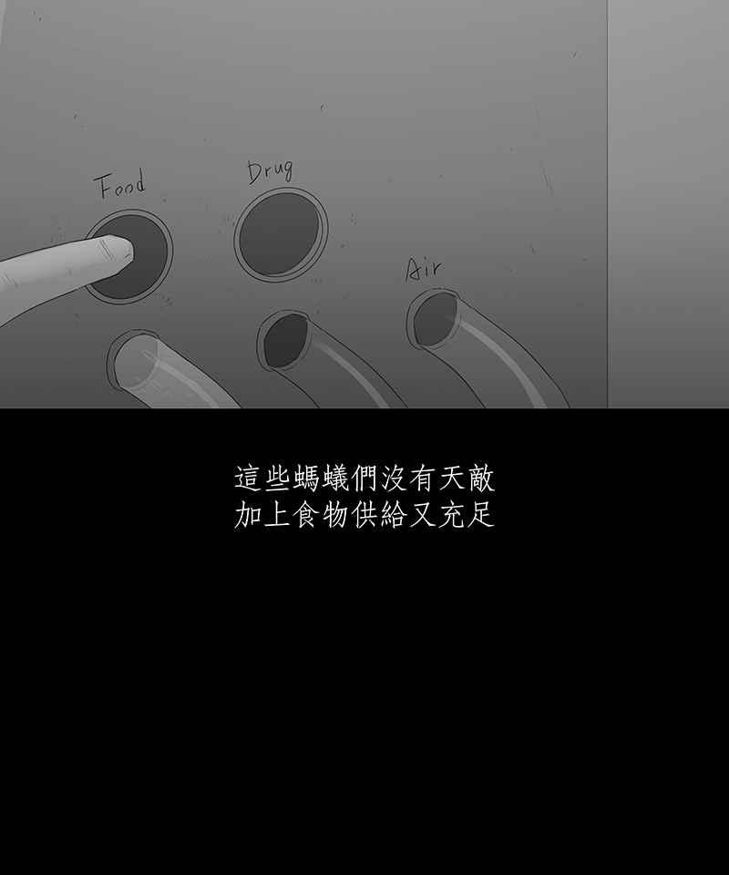 黑盒子 [第63话] 蚂蚁教(1) 第32页