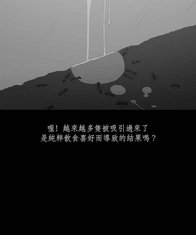 黑盒子 [第63话] 蚂蚁教(1) 第12页