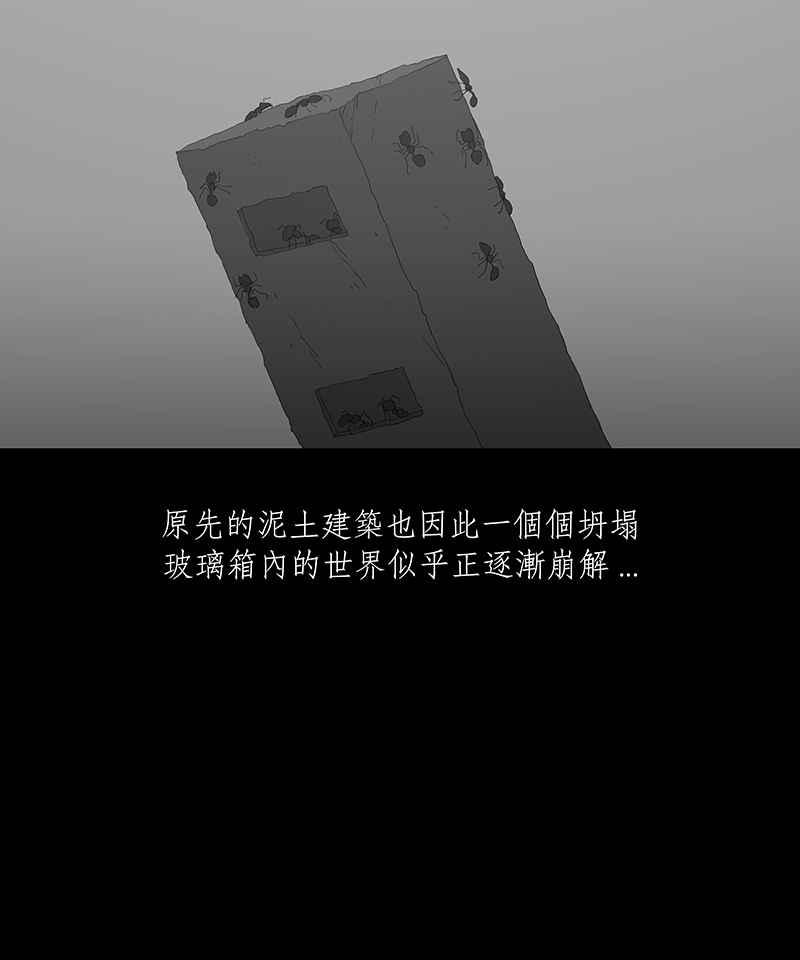 黑盒子 [第64话] 蚂蚁教(2) 第4页