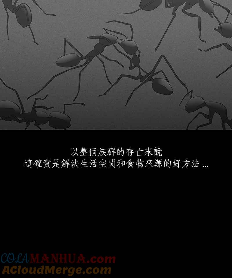 黑盒子 [第64话] 蚂蚁教(2) 第11页