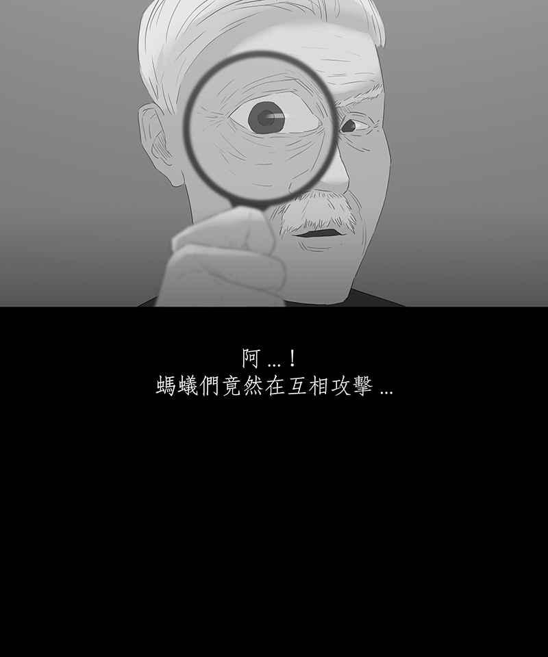 黑盒子 [第64话] 蚂蚁教(2) 第10页