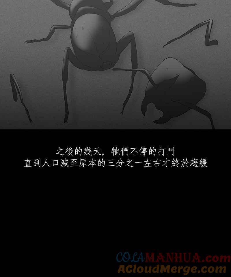 黑盒子 [第64话] 蚂蚁教(2) 第13页