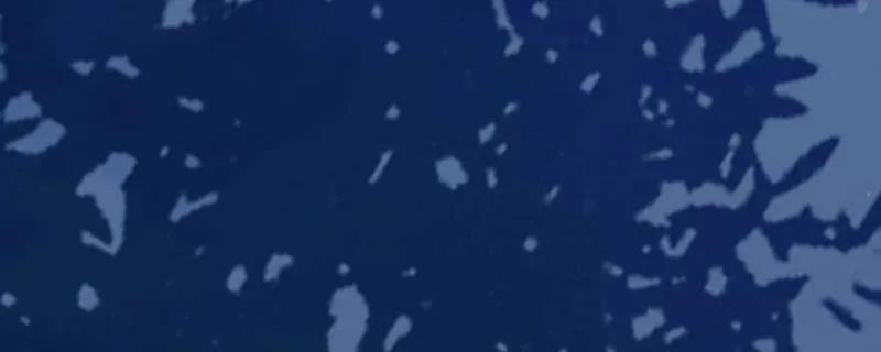 鬼医凤九 第648话 651 黑暗之门 第46页
