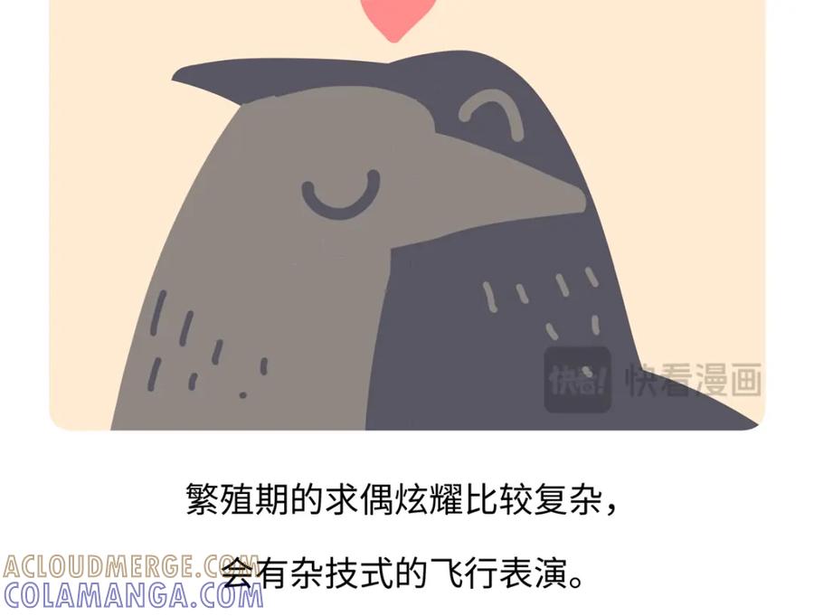 《胖达x胖达》第247话 第21页
