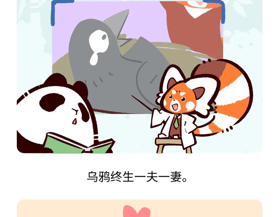 《胖达x胖达》第247话 第20页
