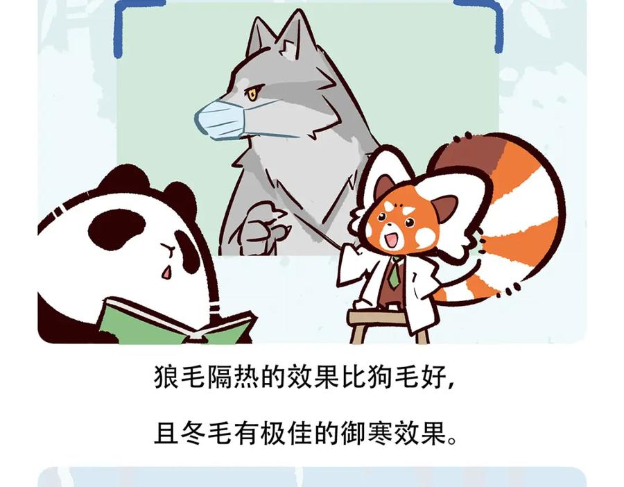 《胖达x胖达》第55话 第14页