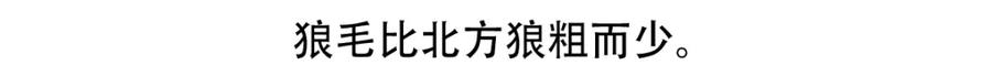 《胖达x胖达》第55话 第17页