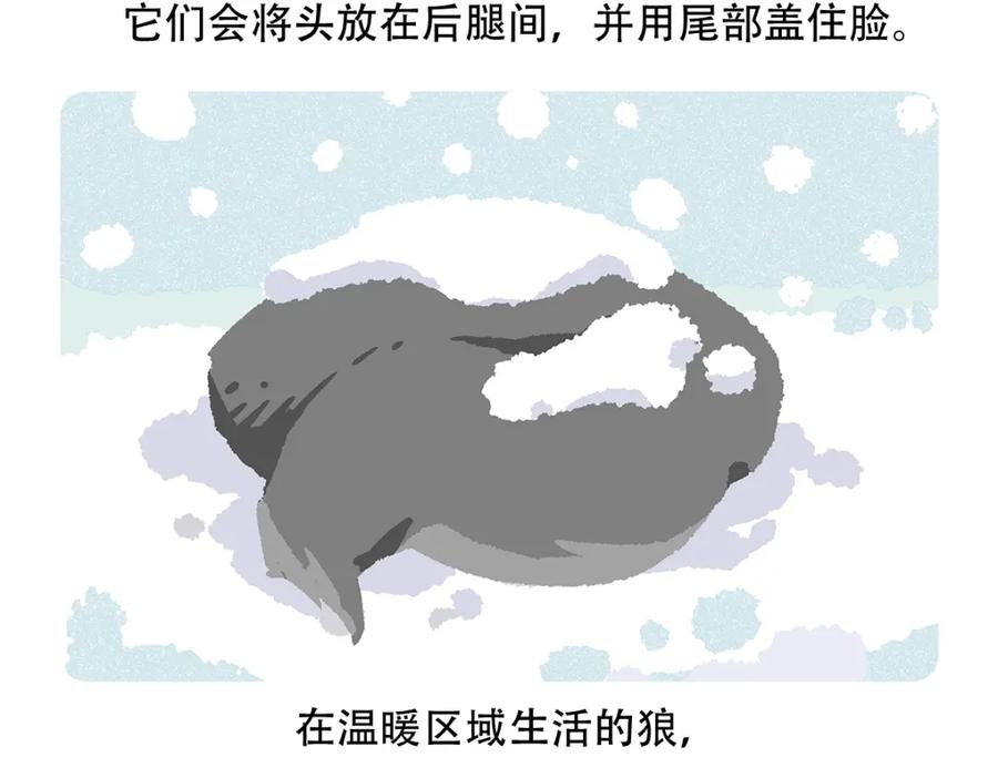 《胖达x胖达》第55话 第16页