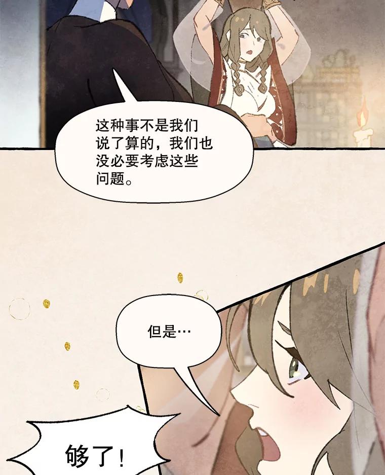 《在流星坠落之处等待》78.银色猫头鹰（2） 第47页