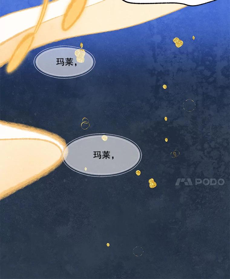 《在流星坠落之处等待》78.银色猫头鹰（2） 第74页
