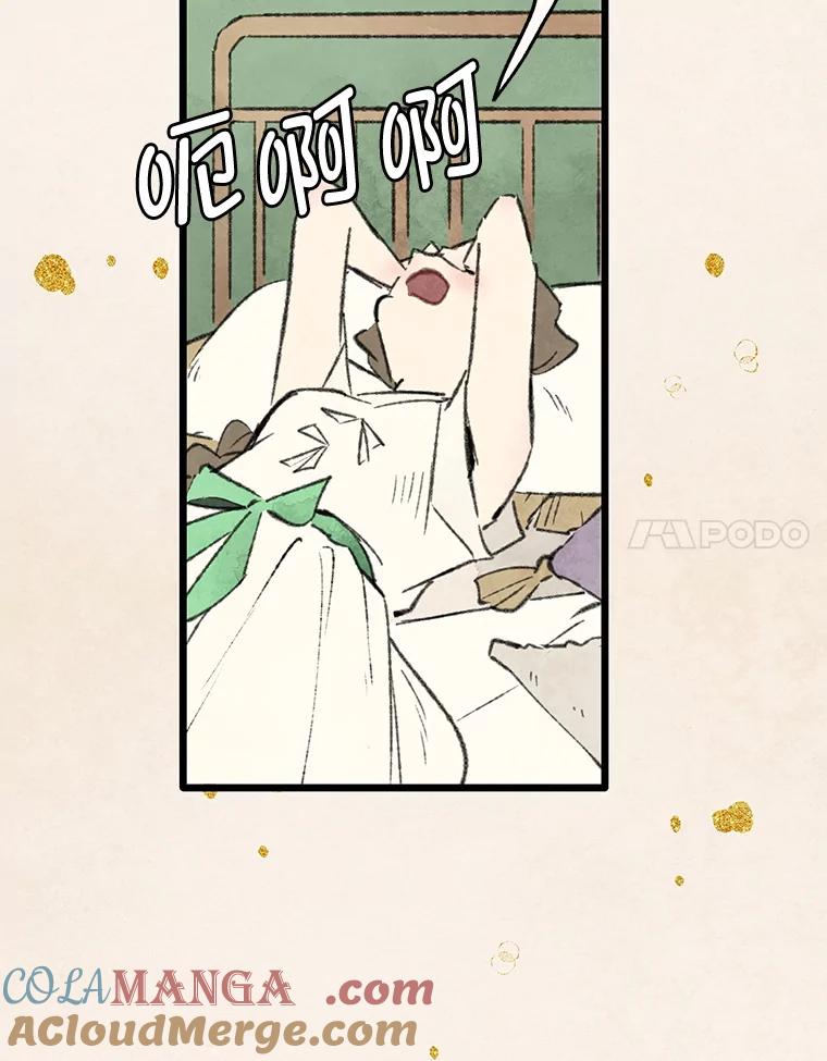 《在流星坠落之处等待》81.银色猫头鹰（5） 第61页