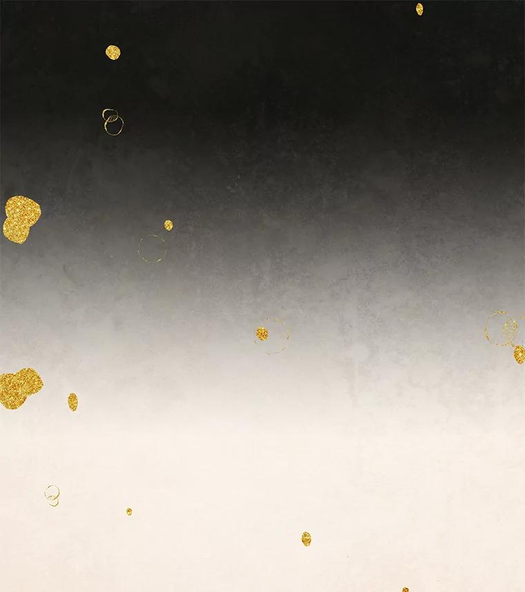 《在流星坠落之处等待》81.银色猫头鹰（5） 第42页
