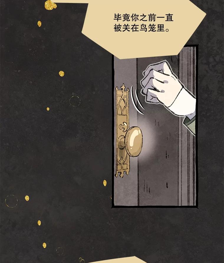 《在流星坠落之处等待》81.银色猫头鹰（5） 第66页