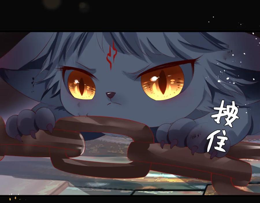 魔尊要抱抱 第15话 地下拍卖场 第90页