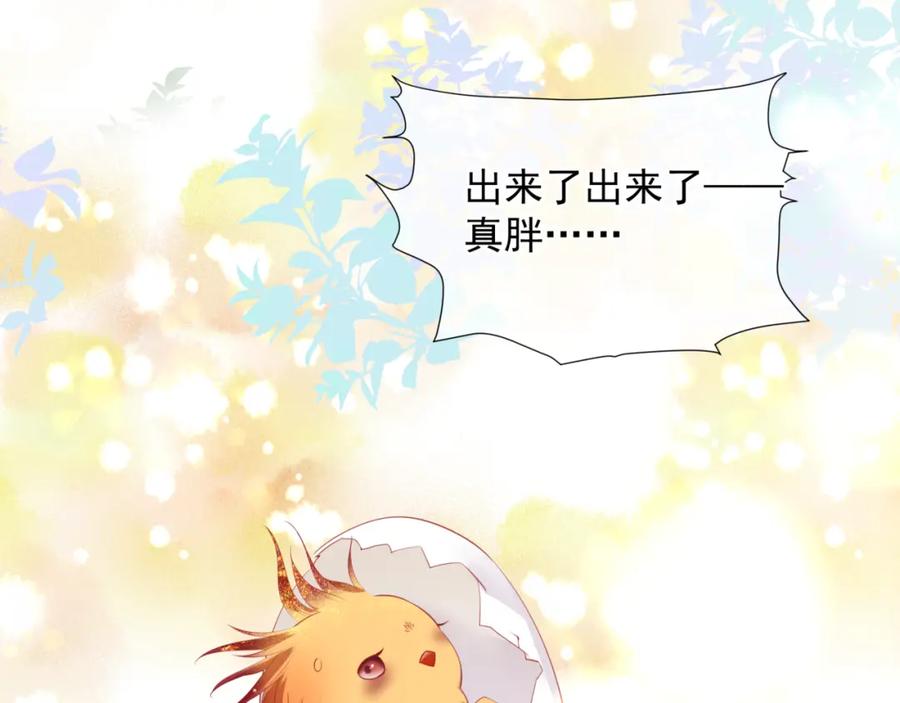魔尊要抱抱 第32话 凤凰的尾羽 第151页
