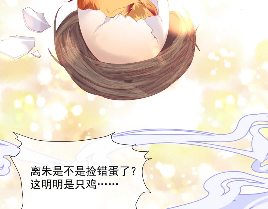 魔尊要抱抱 第32话 凤凰的尾羽 第152页