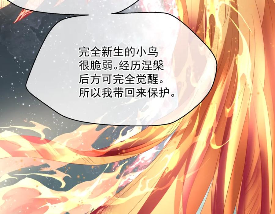 魔尊要抱抱 第32话 凤凰的尾羽 第132页