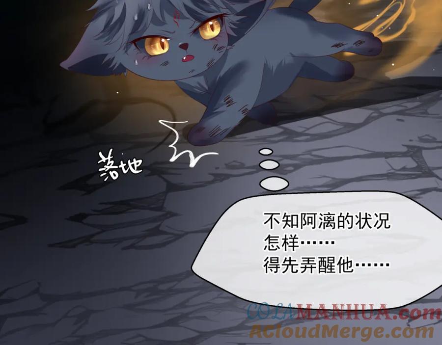 魔尊要抱抱 第39话 魔尊归来 第141页