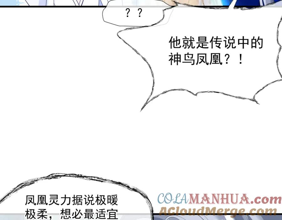 魔尊要抱抱 第44话 正式拜见 第189页