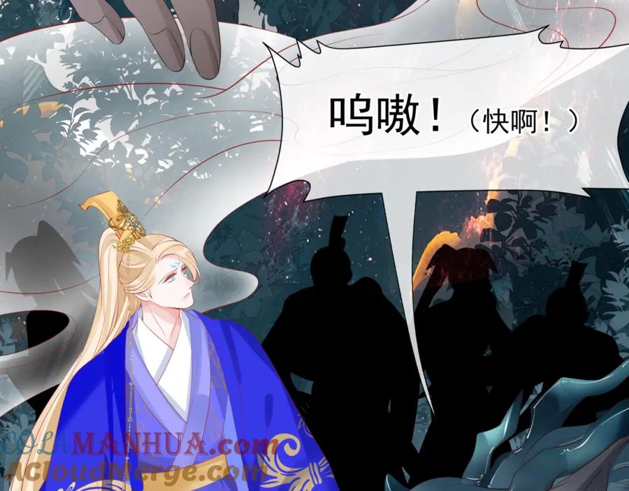 魔尊要抱抱 第58话 血染极瑶峰 第33页