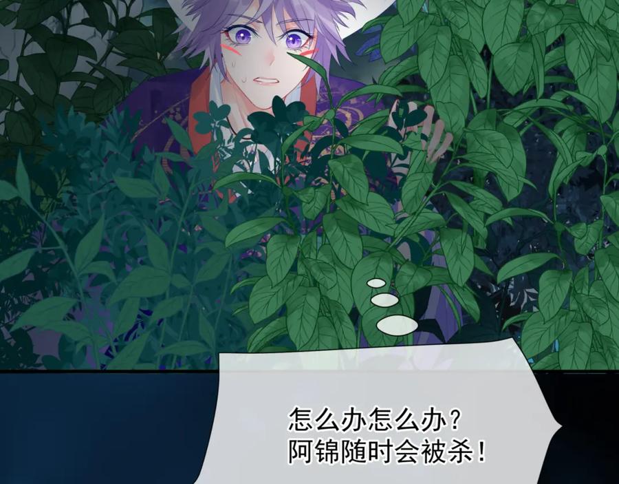 魔尊要抱抱 第58话 血染极瑶峰 第70页