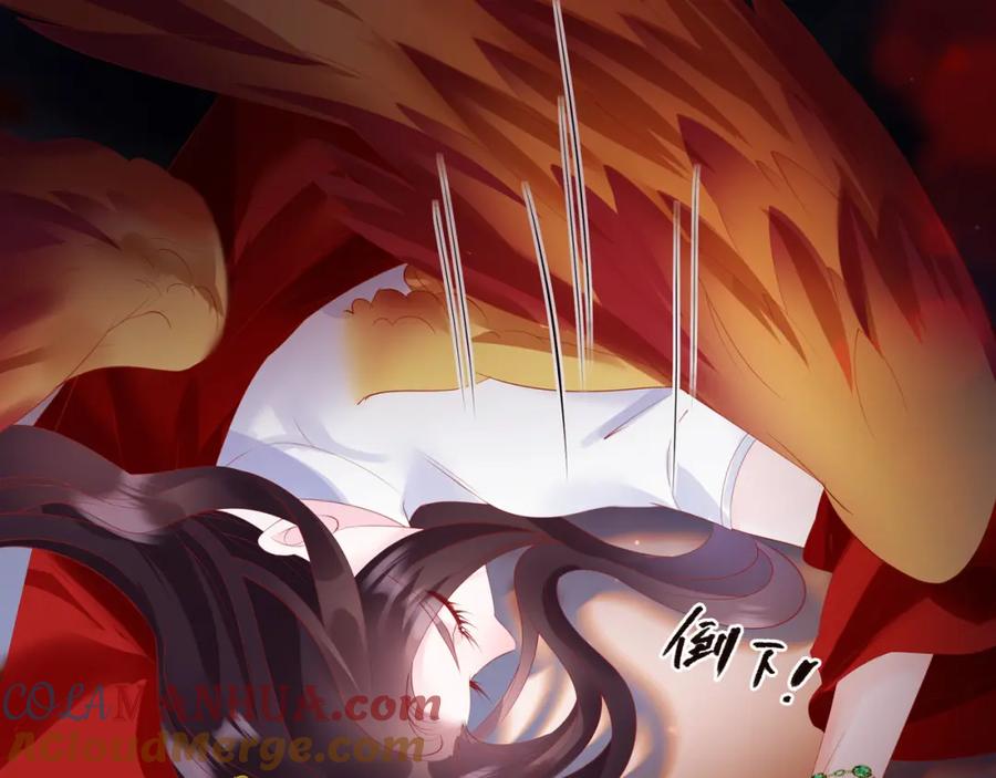 魔尊要抱抱 第58话 血染极瑶峰 第157页