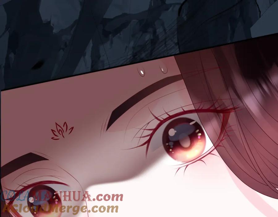 魔尊要抱抱 第66话 凤凰，我只有你 第25页