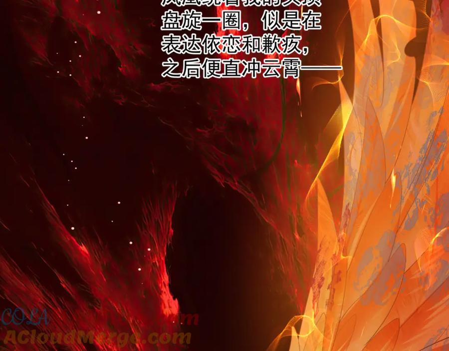 魔尊要抱抱 第82话 凤凰涅槃 第117页
