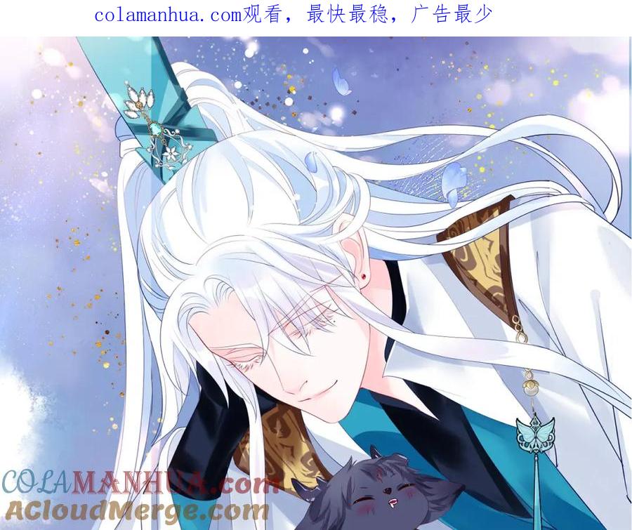 魔尊要抱抱 第88话 凤凰降世 第1页
